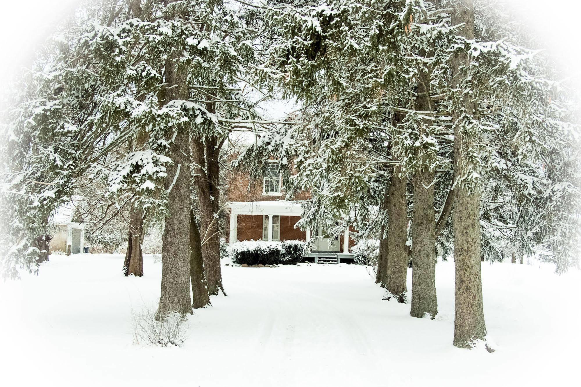 Culverdene House Simcoe Exteriör bild